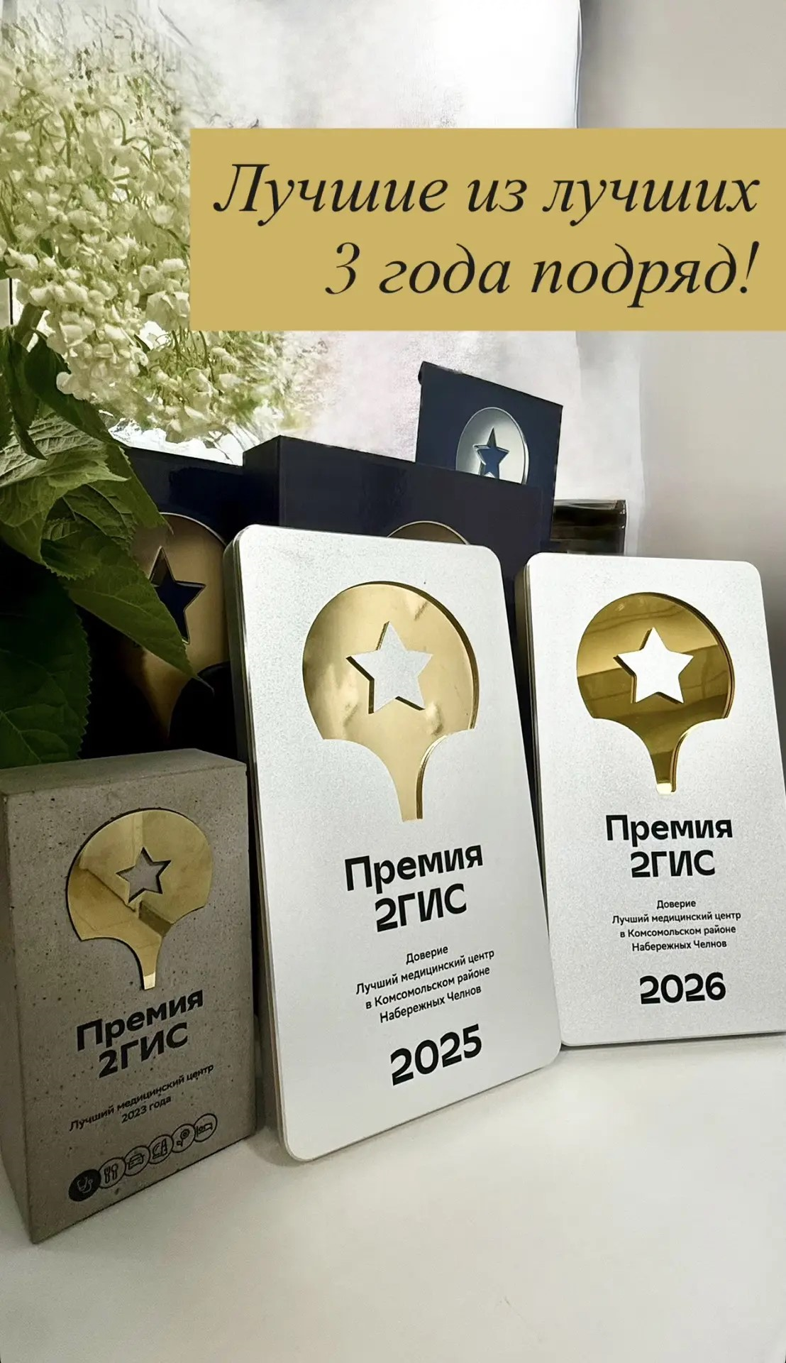Премия 2ГИС